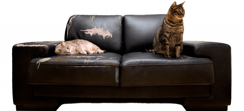 <span style="font-weight: bold;">ремонт мебели</span>